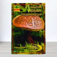 Міцелій гриба Моховик, 10г